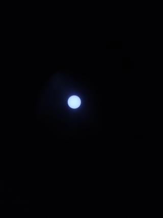 IMG_20240407_163522056.jpg