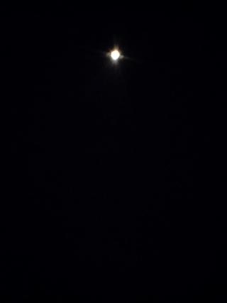 Venus again!