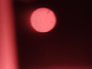 IMG_20240130_004837861.jpg