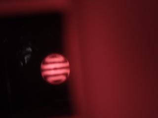 IMG_20240201_235110759.jpg