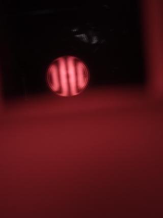 IMG_20240201_235110759.jpg