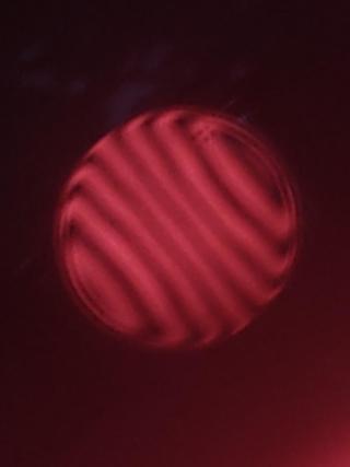 IMG_20240213_161218564.jpg