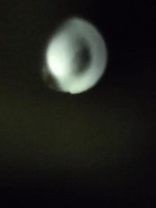 IMG_20240217_151451964.jpg