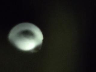 IMG_20240217_151451964.jpg