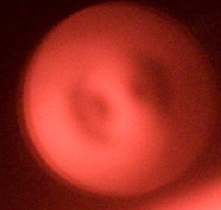 IMG_20240306_160449695~2.jpg