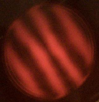 IMG_20240309_162149283~2.jpg