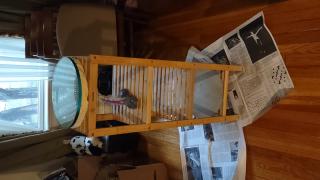 IMG_20240818_154836155.jpg